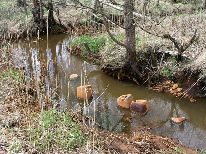 Maakond: Ida-Virumaa Veekogu nimi: Vasavere jõgi Pildistamise aeg: 6. mai 2009 Pildistaja: H. Timm Pildistamise koht: Oru Asimuut: