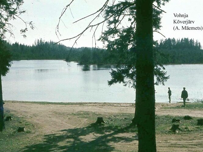 Maakond: Lääne-Virumaa Veekogu nimi: Vatku Kõverjärv Pildistamise aeg: teadmata Pildistaja: A. Mäemets Pildistamise koht: teadmata Asimuut: