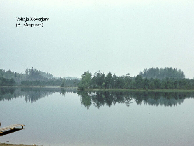 Maakond: Lääne-Virumaa Veekogu nimi: Vatku Kõverjärv Pildistamise aeg: teadmata Pildistaja: A. Maspuran Pildistamise koht: teadmata Asimuut: