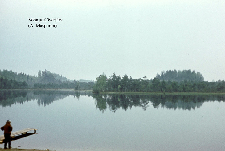 Maakond: Lääne-Virumaa Veekogu nimi: Vatku Kõverjärv Pildistamise aeg: teadmata Pildistaja: A. Maspuran Pildistamise koht: teadmata Asimuut: