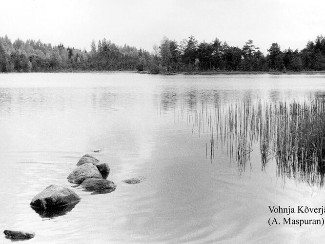 Maakond: Lääne-Virumaa Veekogu nimi: Vatku Kõverjärv Pildistamise aeg: teadmata Pildistaja: A. Maspuran Pildistamise koht: teadmata Asimuut: