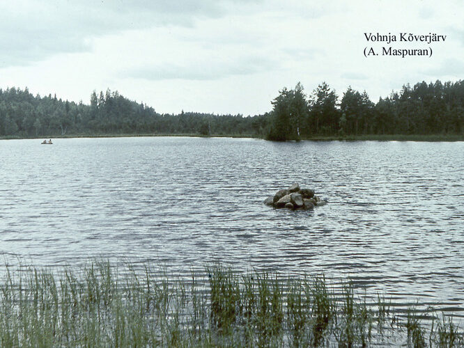 Maakond: Lääne-Virumaa Veekogu nimi: Vatku Kõverjärv Pildistamise aeg: teadmata Pildistaja: A. Maspuran Pildistamise koht: teadmata Asimuut: