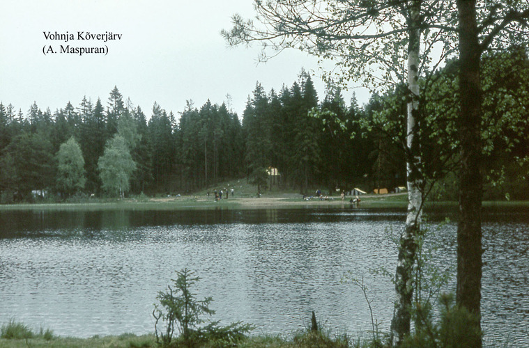 Maakond: Lääne-Virumaa Veekogu nimi: Vatku Kõverjärv Pildistamise aeg: teadmata Pildistaja: A. Maspuran Pildistamise koht: teadmata Asimuut: