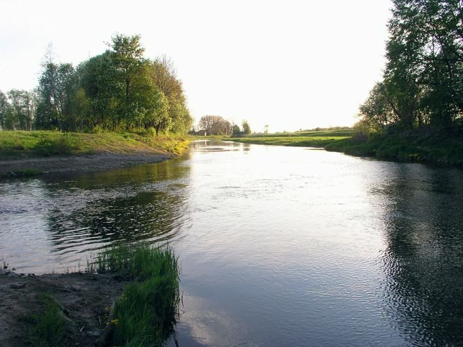 Maakond: Läänemaa Veekogu nimi: Velise ja Vigala jõgi Pildistamise aeg: 16. mai 2009 Pildistaja: H. Timm Pildistamise koht: ühinemiskoht Asimuut: