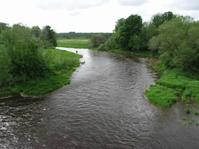 Maakond: Läänemaa Veekogu nimi: Velise jõgi Pildistamise aeg: 5. juuni 2005 Pildistaja: H. Timm Pildistamise koht: Rumba Asimuut: