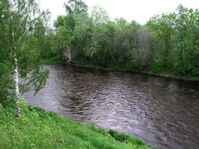 Maakond: Läänemaa Veekogu nimi: Velise jõgi Pildistamise aeg: 5. juuni 2005 Pildistaja: H. Timm Pildistamise koht: Rumba Asimuut: