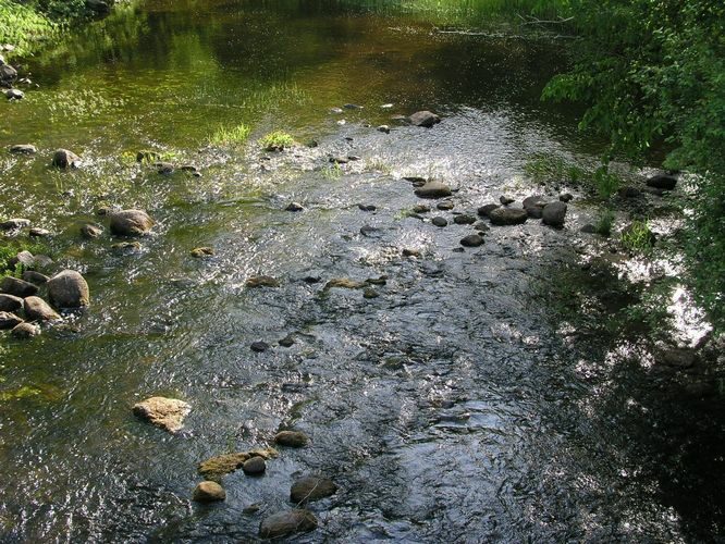 Maakond: Raplamaa Veekogu nimi: Velise jõgi Pildistamise aeg: 22. mai 2008 Pildistaja: H. Timm Pildistamise koht: Valgu Asimuut: