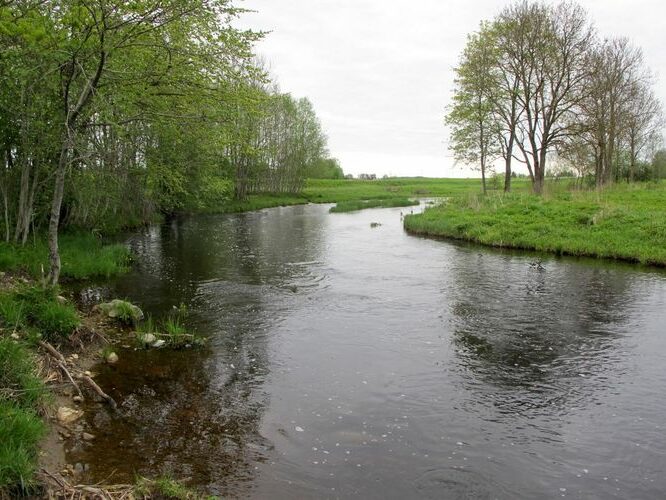 Maakond: Raplamaa Veekogu nimi: Velise jõgi Pildistamise aeg: 20. mai 2012 Pildistaja: H. Timm Pildistamise koht: Valgu tee ääres Asimuut: