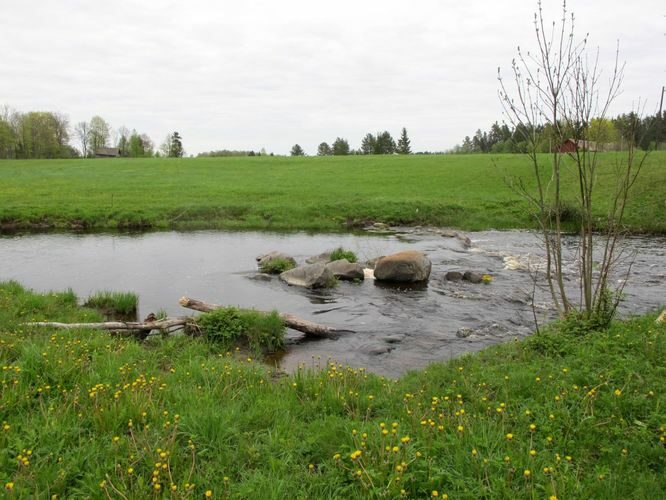 Maakond: Raplamaa Veekogu nimi: Velise jõgi Pildistamise aeg: 20. mai 2012 Pildistaja: H. Timm Pildistamise koht: Valgu tee ääres Asimuut: