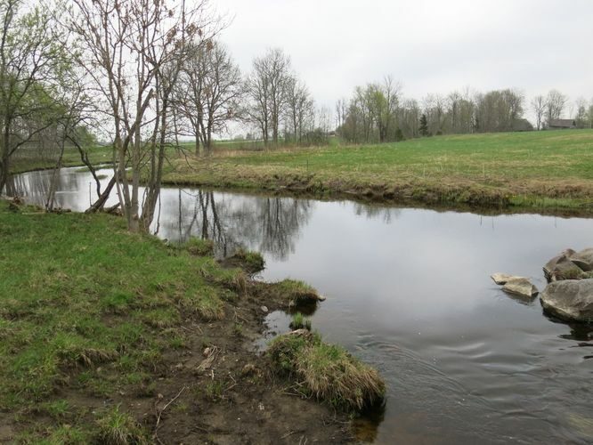 Maakond: Raplamaa Veekogu nimi: Velise jõgi Pildistamise aeg: 12. mai 2013 Pildistaja: H. Timm Pildistamise koht: Valgu tee ääres Asimuut: