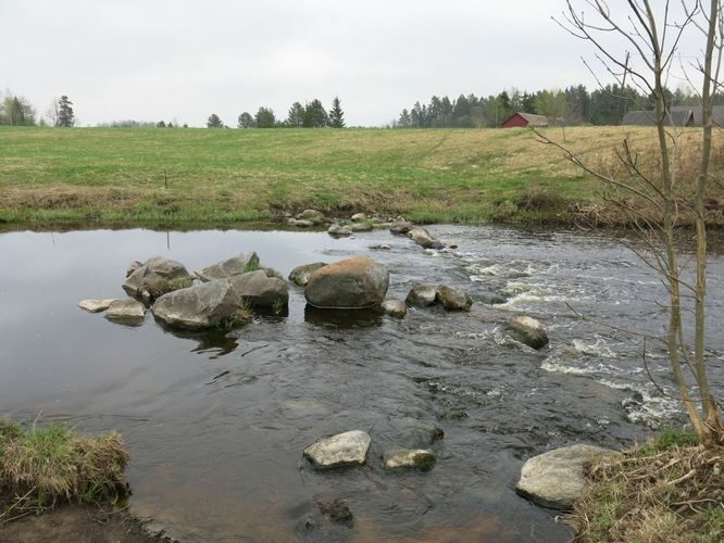 Maakond: Raplamaa Veekogu nimi: Velise jõgi Pildistamise aeg: 12. mai 2013 Pildistaja: H. Timm Pildistamise koht: Valgu tee ääres Asimuut: