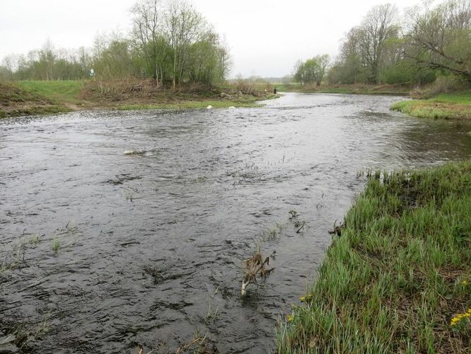 Maakond: Läänemaa Veekogu nimi: Velise jõgi Pildistamise aeg: 12. mai 2013 Pildistaja: H. Timm Pildistamise koht: Rumba Asimuut: