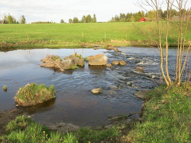 Maakond: Raplamaa Veekogu nimi: Velise jõgi Pildistamise aeg: 14. mai 2014 Pildistaja: H. Timm Pildistamise koht: Valgu tee ääres Asimuut: