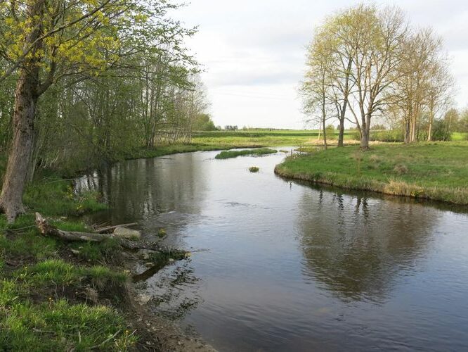 Maakond: Raplamaa Veekogu nimi: Velise jõgi Pildistamise aeg: 14. mai 2014 Pildistaja: H. Timm Pildistamise koht: Valgu tee ääres Asimuut: