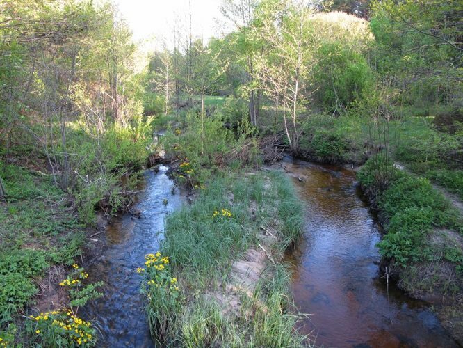 Maakond: Saaremaa Veekogu nimi: Vesiku oja Pildistamise aeg: 21. mai 2011 Pildistaja: H. Timm Pildistamise koht: Vedruka - Viidu sild Asimuut: