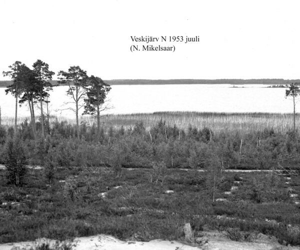 Maakond: Läänemaa Veekogu nimi: Veskijärv Pildistamise aeg: juuli 1953 Pildistaja: N. Mikelsaar Pildistamise koht: N kaldalt Asimuut: S