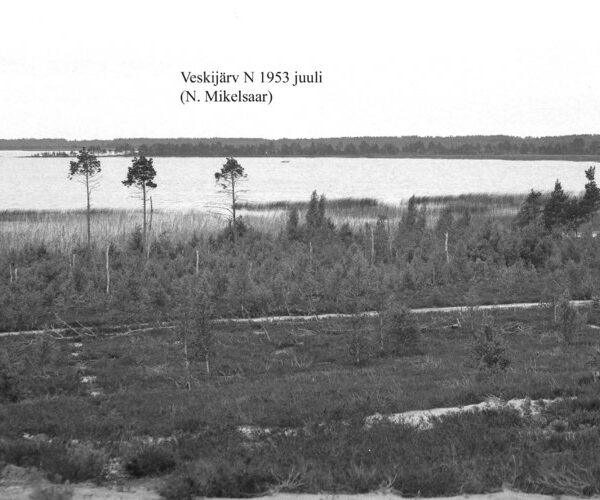 Maakond: Läänemaa Veekogu nimi: Veskijärv Pildistamise aeg: juuli 1953 Pildistaja: N. Mikelsaar Pildistamise koht: N kaldalt Asimuut: SSW
