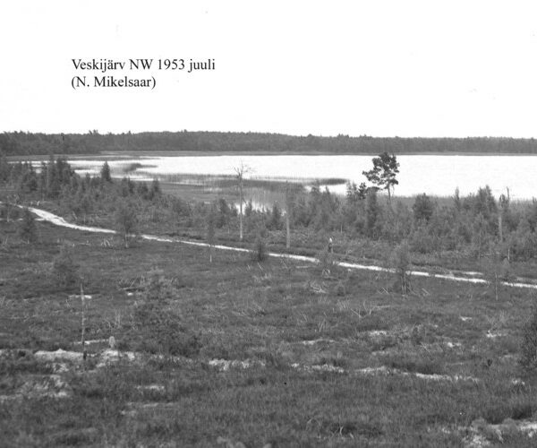 Maakond: Läänemaa Veekogu nimi: Veskijärv Pildistamise aeg: juuli 1953 Pildistaja: N. Mikelsaar Pildistamise koht: NW kaldalt Asimuut: SSE
