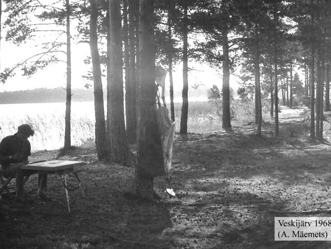 Maakond: Läänemaa Veekogu nimi: Veskijärv Pildistamise aeg: 1968 Pildistaja: A. Mäemets Pildistamise koht: neem W kaldal Asimuut: E