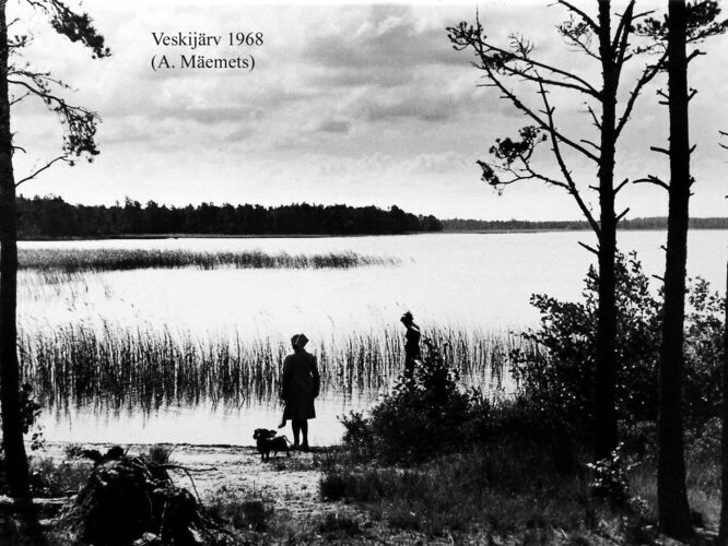 Maakond: Läänemaa Veekogu nimi: Veskijärv Pildistamise aeg: 1968 Pildistaja: A. Mäemets Pildistamise koht: teadmata Asimuut: