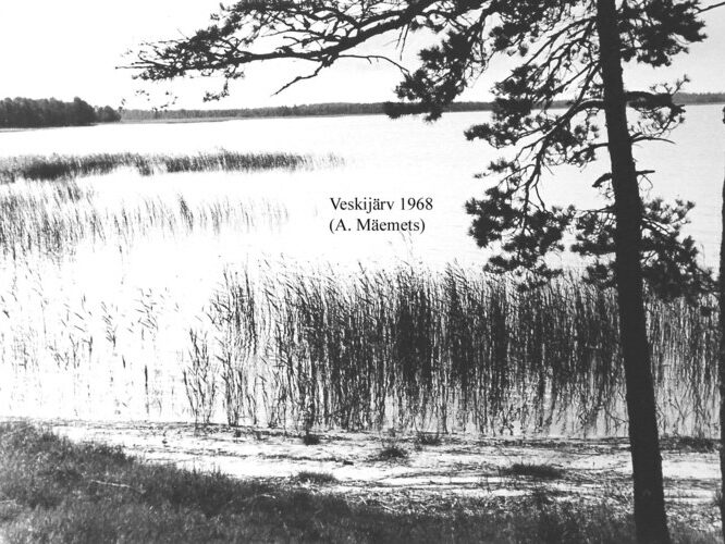 Maakond: Läänemaa Veekogu nimi: Veskijärv Pildistamise aeg: 1968 Pildistaja: A. Mäemets Pildistamise koht: teadmata Asimuut: