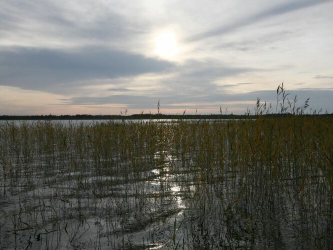 Maakond: Läänemaa Veekogu nimi: Veskijärv Pildistamise aeg: 26. september 2008 Pildistaja: H. Timm Pildistamise koht: teadmata Asimuut: