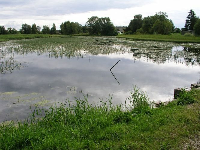 Maakond: Lääne-Virumaa Veekogu nimi: Vetiku Väikejärv Pildistamise aeg: 7. august 2008 Pildistaja: H. Timm Pildistamise koht: teadmata Asimuut: