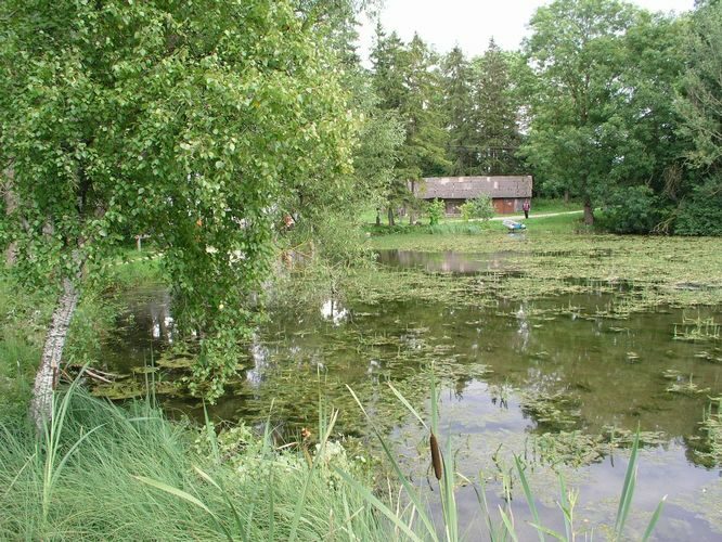 Maakond: Lääne-Virumaa Veekogu nimi: Vetiku Väikejärv Pildistamise aeg: 7. august 2008 Pildistaja: H. Timm Pildistamise koht: teadmata Asimuut: