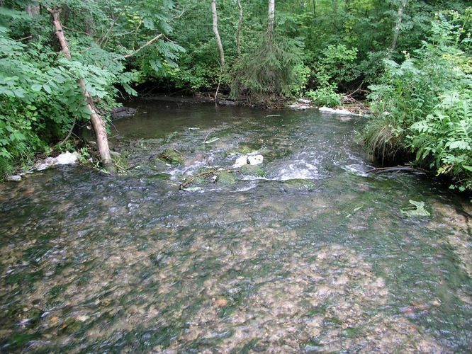 Maakond: Lääne-Virumaa Veekogu nimi: Vetiku Väikejärve väljavool Pildistamise aeg: 7. august 2008 Pildistaja: H. Timm Pildistamise koht: teadmata Asimuut: