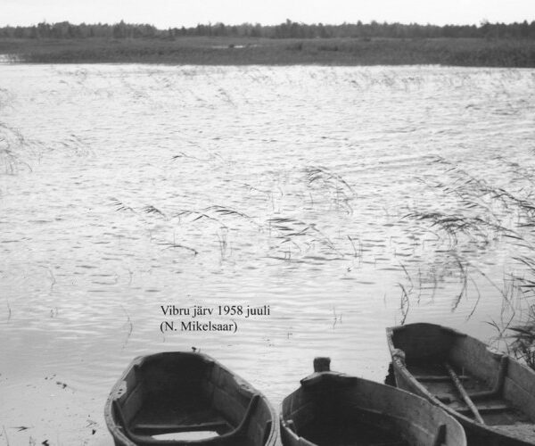 Maakond: Saaremaa Veekogu nimi: Vibru järv Pildistamise aeg: juuli 1958 Pildistaja: N. Mikelsaar Pildistamise koht: teadmata Asimuut: