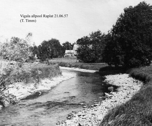 Maakond: Pärnumaa Veekogu nimi: Vigala jõgi Pildistamise aeg: 21. juuni 1957 Pildistaja: T. Timm Pildistamise koht: sild allpool Raplat, vastuvoolu Asimuut:
