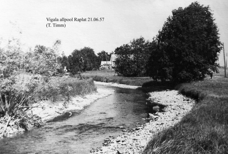 Maakond: Pärnumaa Veekogu nimi: Vigala jõgi Pildistamise aeg: 21. juuni 1957 Pildistaja: T. Timm Pildistamise koht: sild allpool Raplat, vastuvoolu Asimuut: