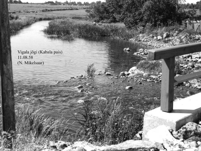 Maakond: Pärnumaa Veekogu nimi: Vigala jõgi Pildistamise aeg: 11. august 1958 Pildistaja: N. Mikelsaar Pildistamise koht: Kabala pais Asimuut: