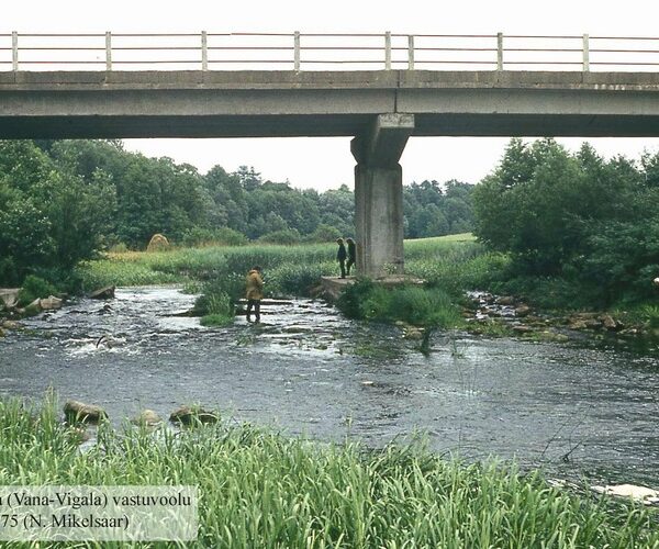 Maakond: Pärnumaa Veekogu nimi: Vigala jõgi Pildistamise aeg: 26. juuli 1975 Pildistaja: N. Mikelsaar Pildistamise koht: Vana-Vigala silla all Asimuut: