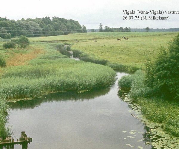 Maakond: Pärnumaa Veekogu nimi: Vigala jõgi Pildistamise aeg: 26. juuli 1975 Pildistaja: N. Mikelsaar Pildistamise koht: Vana-Vigala sillalt, vastuvoolu Asimuut:
