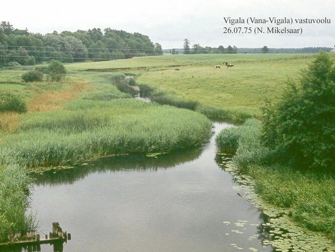 Maakond: Pärnumaa Veekogu nimi: Vigala jõgi Pildistamise aeg: 26. juuli 1975 Pildistaja: N. Mikelsaar Pildistamise koht: Vana-Vigala sillalt, vastuvoolu Asimuut: