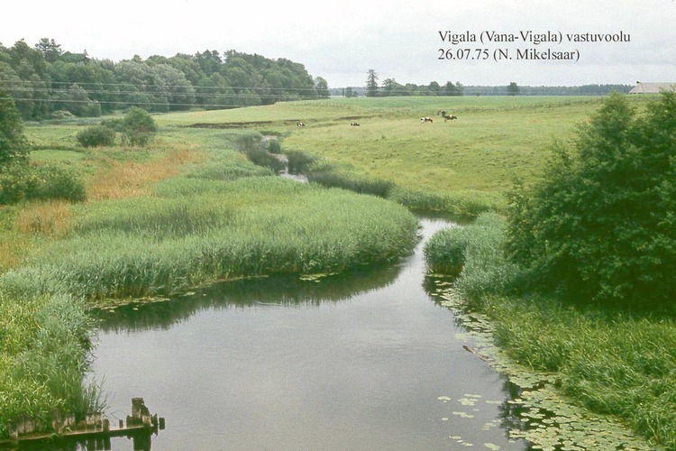 Maakond: Pärnumaa Veekogu nimi: Vigala jõgi Pildistamise aeg: 26. juuli 1975 Pildistaja: N. Mikelsaar Pildistamise koht: Vana-Vigala sillalt, vastuvoolu Asimuut: