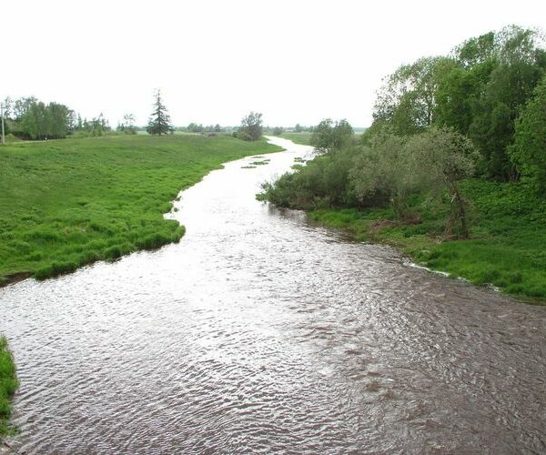 Maakond: Raplamaa Veekogu nimi: Vigala jõgi Pildistamise aeg: 5. juuni 2005 Pildistaja: H. Timm Pildistamise koht: Vana-Vigala Asimuut: