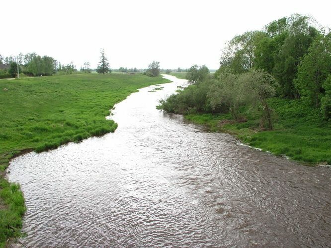 Maakond: Raplamaa Veekogu nimi: Vigala jõgi Pildistamise aeg: 5. juuni 2005 Pildistaja: H. Timm Pildistamise koht: Vana-Vigala Asimuut: