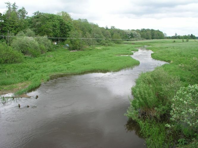 Maakond: Raplamaa Veekogu nimi: Vigala jõgi Pildistamise aeg: 5. juuni 2005 Pildistaja: H. Timm Pildistamise koht: Vana-Vigala Asimuut: