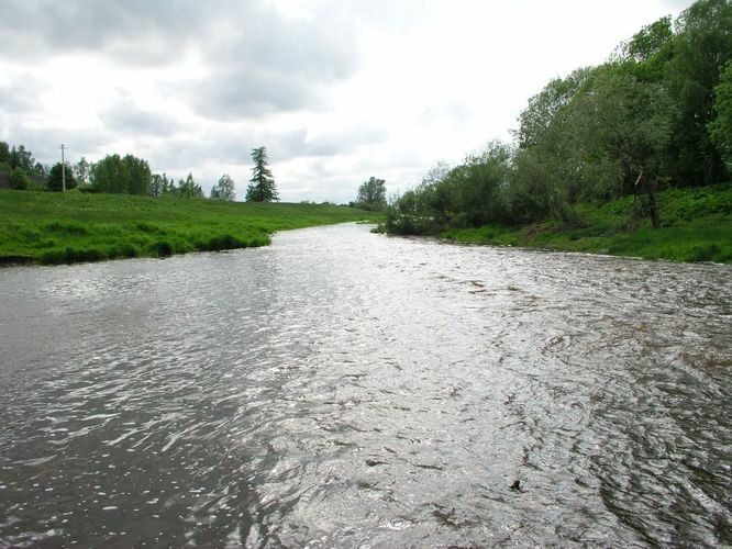 Maakond: Raplamaa Veekogu nimi: Vigala jõgi Pildistamise aeg: 5. juuni 2005 Pildistaja: H. Timm Pildistamise koht: Vana-Vigala Asimuut: