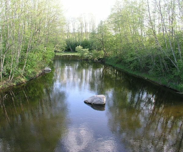 Maakond: Raplamaa Veekogu nimi: Vigala jõgi Pildistamise aeg: 16. mai 2009 Pildistaja: H. Timm Pildistamise koht: Jaaniveski Asimuut: