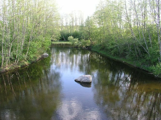 Maakond: Raplamaa Veekogu nimi: Vigala jõgi Pildistamise aeg: 16. mai 2009 Pildistaja: H. Timm Pildistamise koht: Jaaniveski Asimuut: