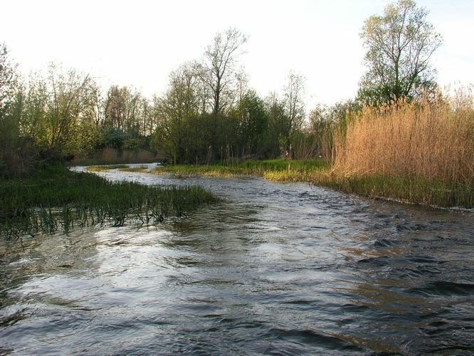 Maakond: Läänemaa Veekogu nimi: Vigala jõgi Pildistamise aeg: 16. mai 2009 Pildistaja: H. Timm Pildistamise koht: Rumba Asimuut: