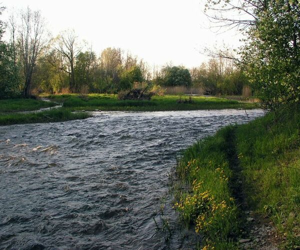 Maakond: Läänemaa Veekogu nimi: Vigala jõgi Pildistamise aeg: 16. mai 2009 Pildistaja: H. Timm Pildistamise koht: Rumba Asimuut:
