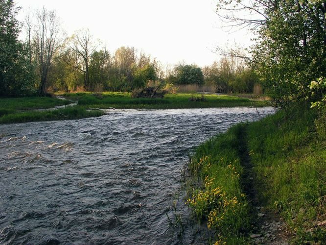 Maakond: Läänemaa Veekogu nimi: Vigala jõgi Pildistamise aeg: 16. mai 2009 Pildistaja: H. Timm Pildistamise koht: Rumba Asimuut: