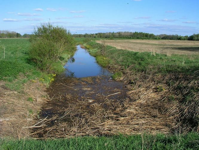 Maakond: Raplamaa Veekogu nimi: Vigala jõgi Pildistamise aeg: 16. mai 2009 Pildistaja: H. Timm Pildistamise koht: Hertu Asimuut: