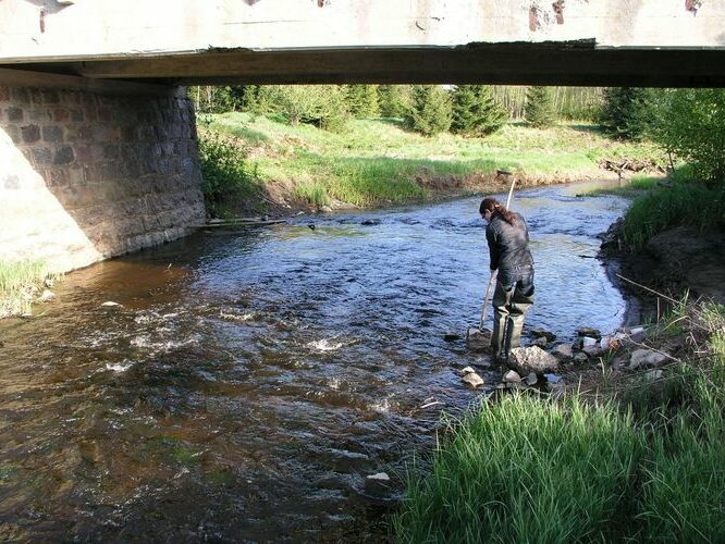 Maakond: Raplamaa Veekogu nimi: Vigala jõgi Pildistamise aeg: 16. mai 2009 Pildistaja: H. Timm Pildistamise koht: Iira Asimuut: