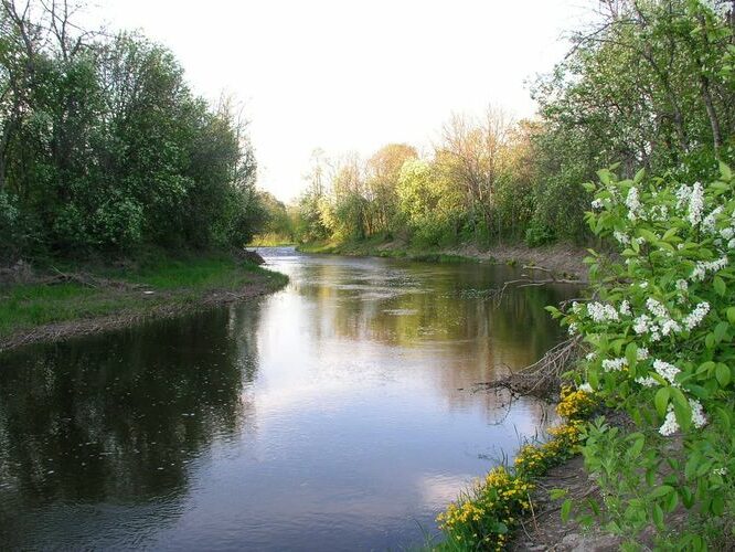 Maakond: Läänemaa Veekogu nimi: Vigala jõgi Pildistamise aeg: 16. mai 2009 Pildistaja: H. Timm Pildistamise koht: Rumba Asimuut: