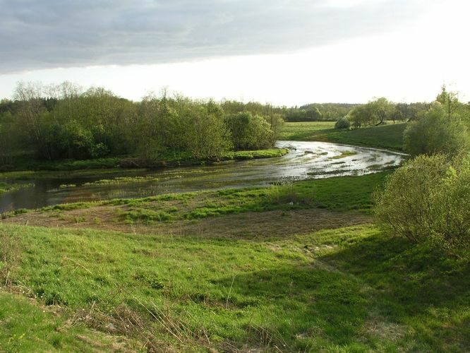 Maakond: Raplamaa Veekogu nimi: Vigala jõgi Pildistamise aeg: 16. mai 2009 Pildistaja: H. Timm Pildistamise koht: Konuvere Asimuut: